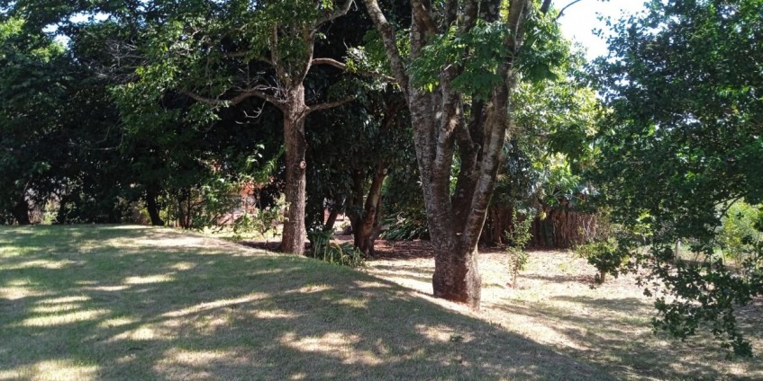 Sampaio imóveis