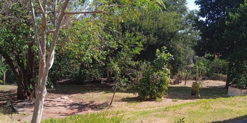 Sampaio imóveis